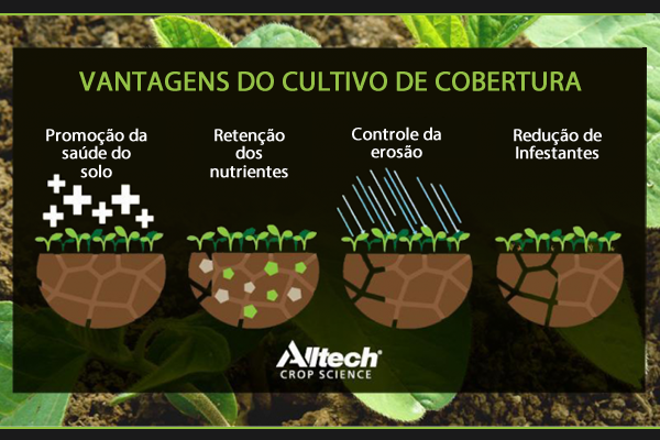 Incorporar Culturas De Cobertura Para Plantas E SaÚde Do Solo News 4937